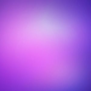 Meet your Posher, Rose